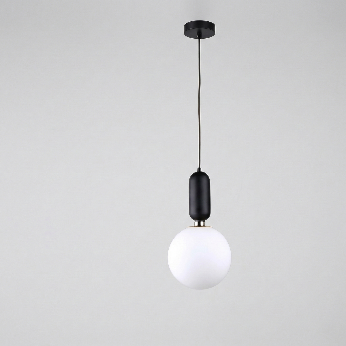 Nordic Black Globe Pendant Light