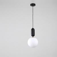 Nordic Black Globe Pendant Light