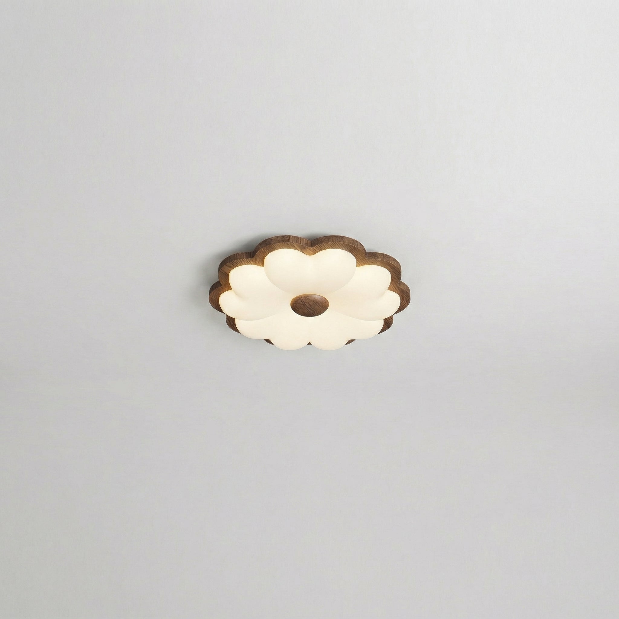Heart-Shaped LED Ceiling Light