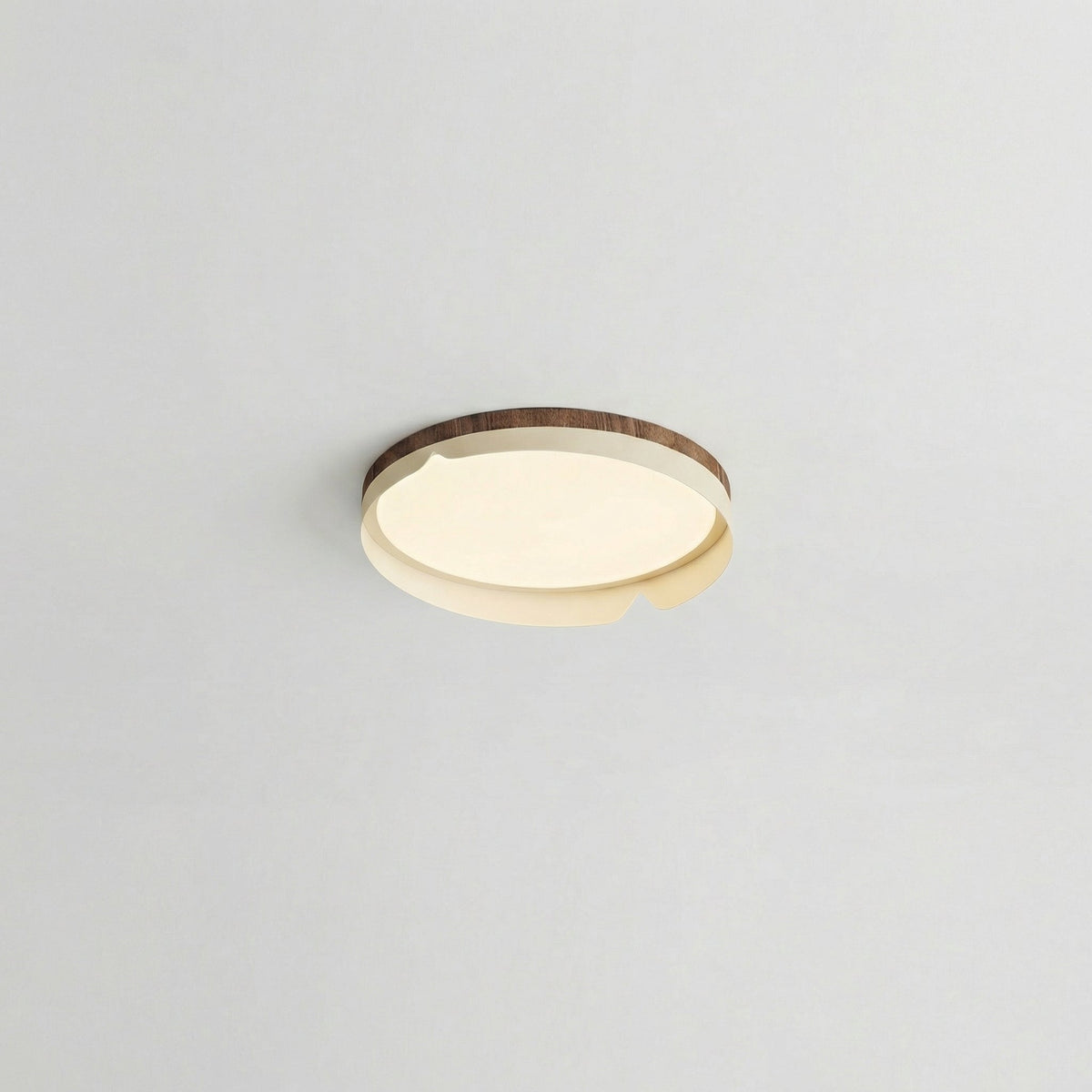 Modern Flush Mount Lamp