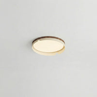 Modern Flush Mount Lamp