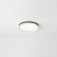 Modern Flush Mount Lamp