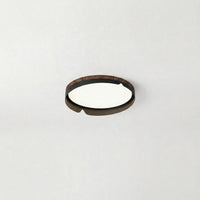 Modern Flush Mount Lamp